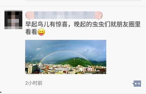 彩虹员工爆料视频播放 第3张 彩虹员工爆料视频播放 第3张